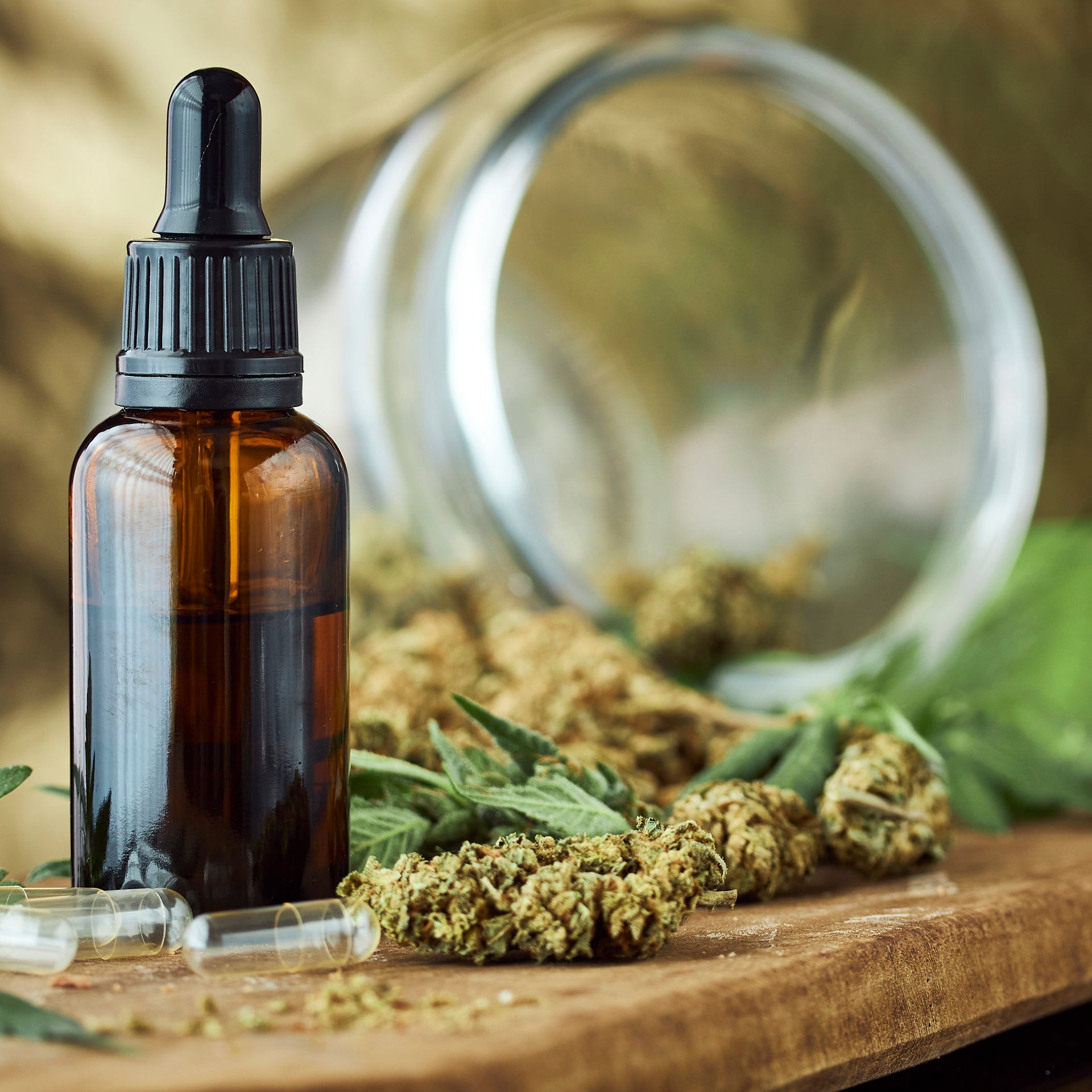 Episode 17: The Evolution and Evidence on Cannabidiol (CBD) and Cannabis with Janice Newell Bissex, MS, RDN, FAND