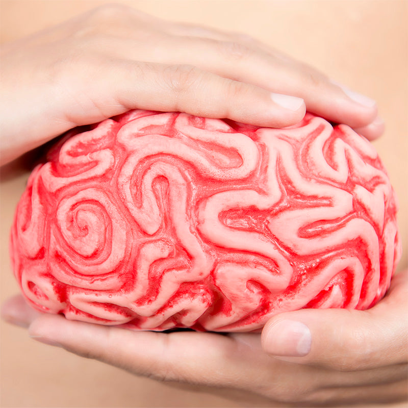 Episode 11: Brain Food: Exploring the Gut-Brain Axis with Uma Naidoo, MD