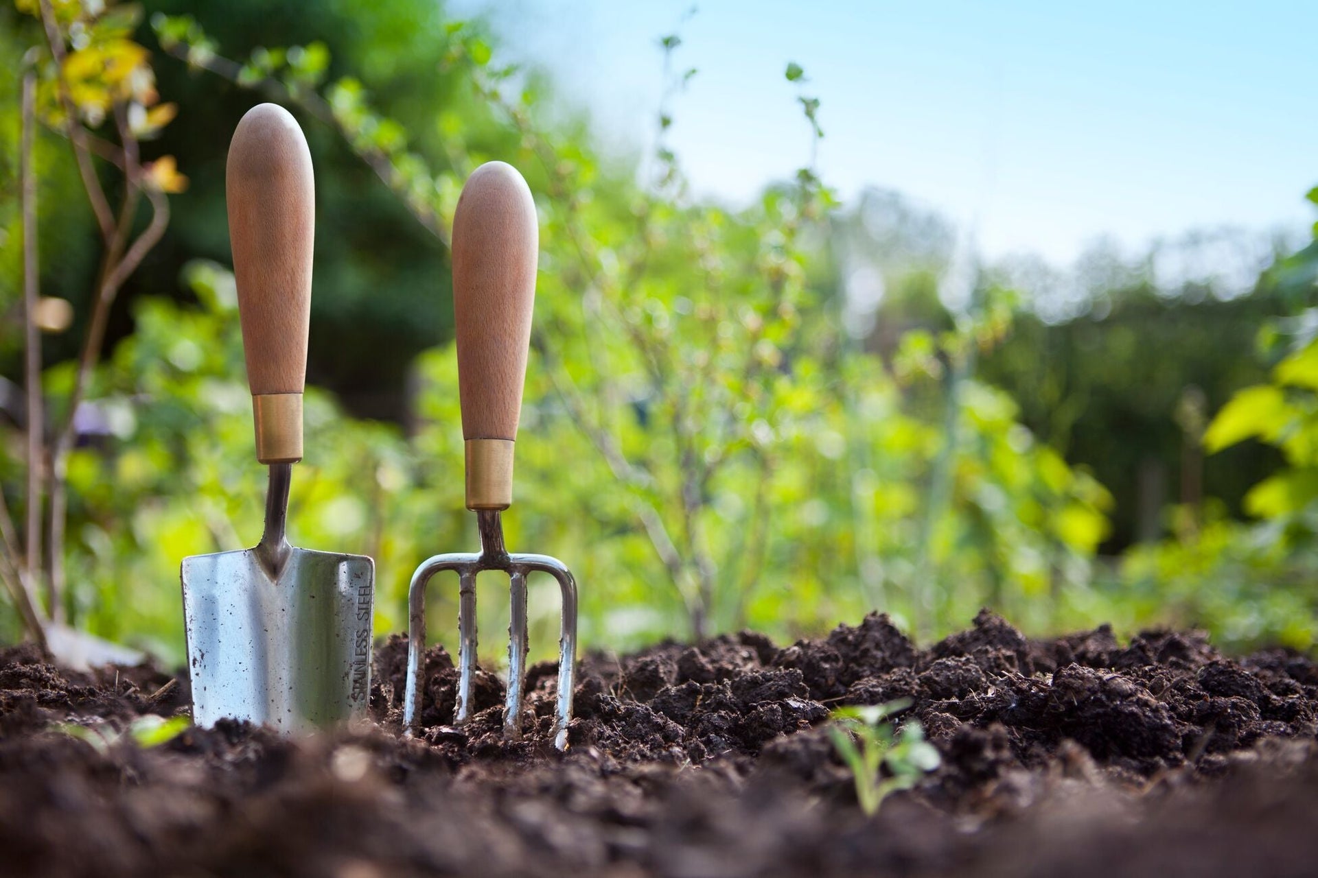 Close-up of a small gardening trowel and fork with wooden handles standing upright in a tilled garden bed, with green plants and a clear blue sky in the background.