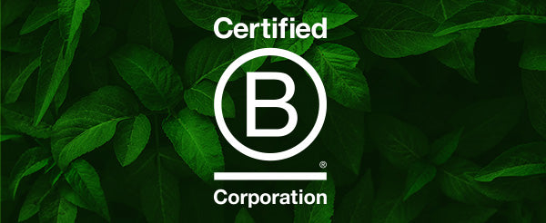 Certified B Corporation Logo in front of a leafy background