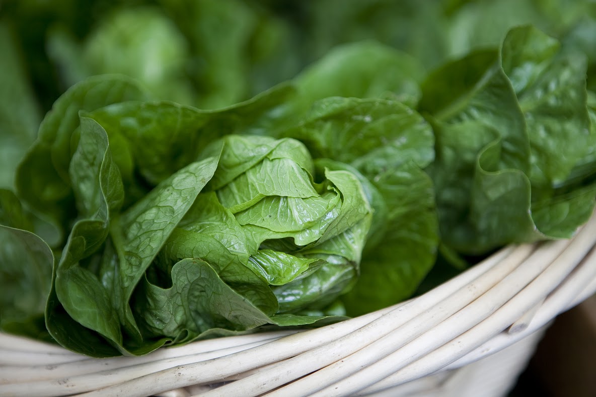 Close-up image of a wicker basket filled with fresh, green leafy spinach. The spinach leaves appear crisp and are slightly curled, displaying varying shades of green. The texture of the leaves is prominently veined and vibrant.