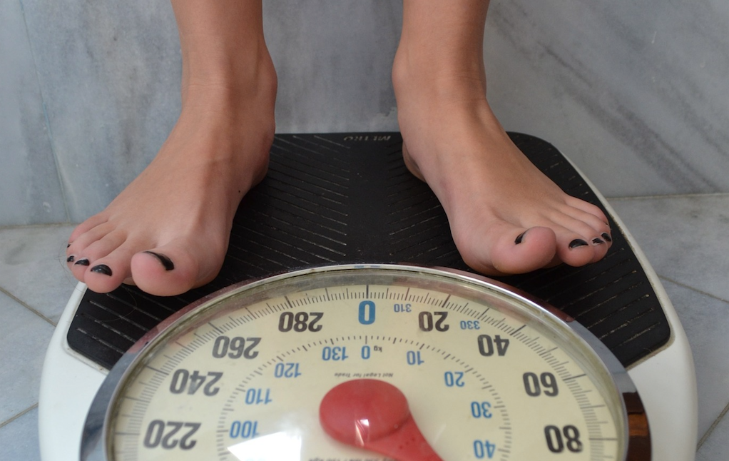 Fall Health Tips -Healthy Fall Routines -Fall Weight Loss – Orgain