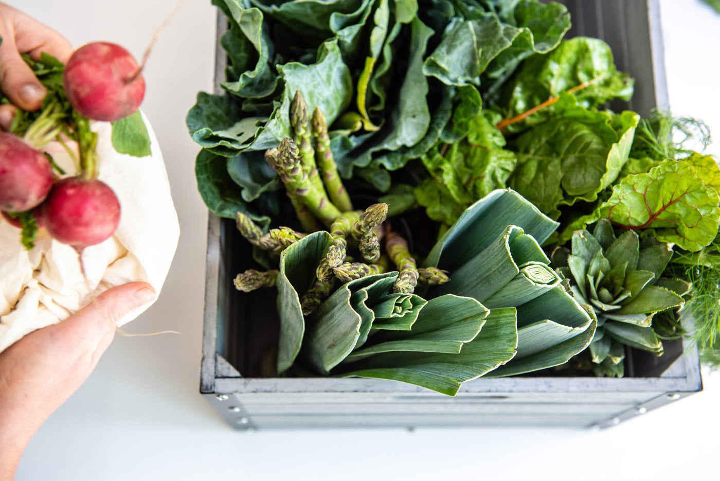 A person's hand holding four radishes wrapped in a cloth is on the left side of the image. A wooden box filled with various green vegetables, including kale, asparagus, leeks, and Swiss chard, is in the center background.