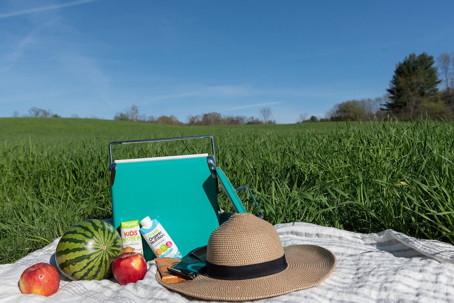 A picnic scene in a grassy field under a blue sky. Items on a blanket include a turquoise chair, a water bottle, sunscreen, a hat, an apple, a watermelon, and Juice Boxes. Trees are visible in the distant background.