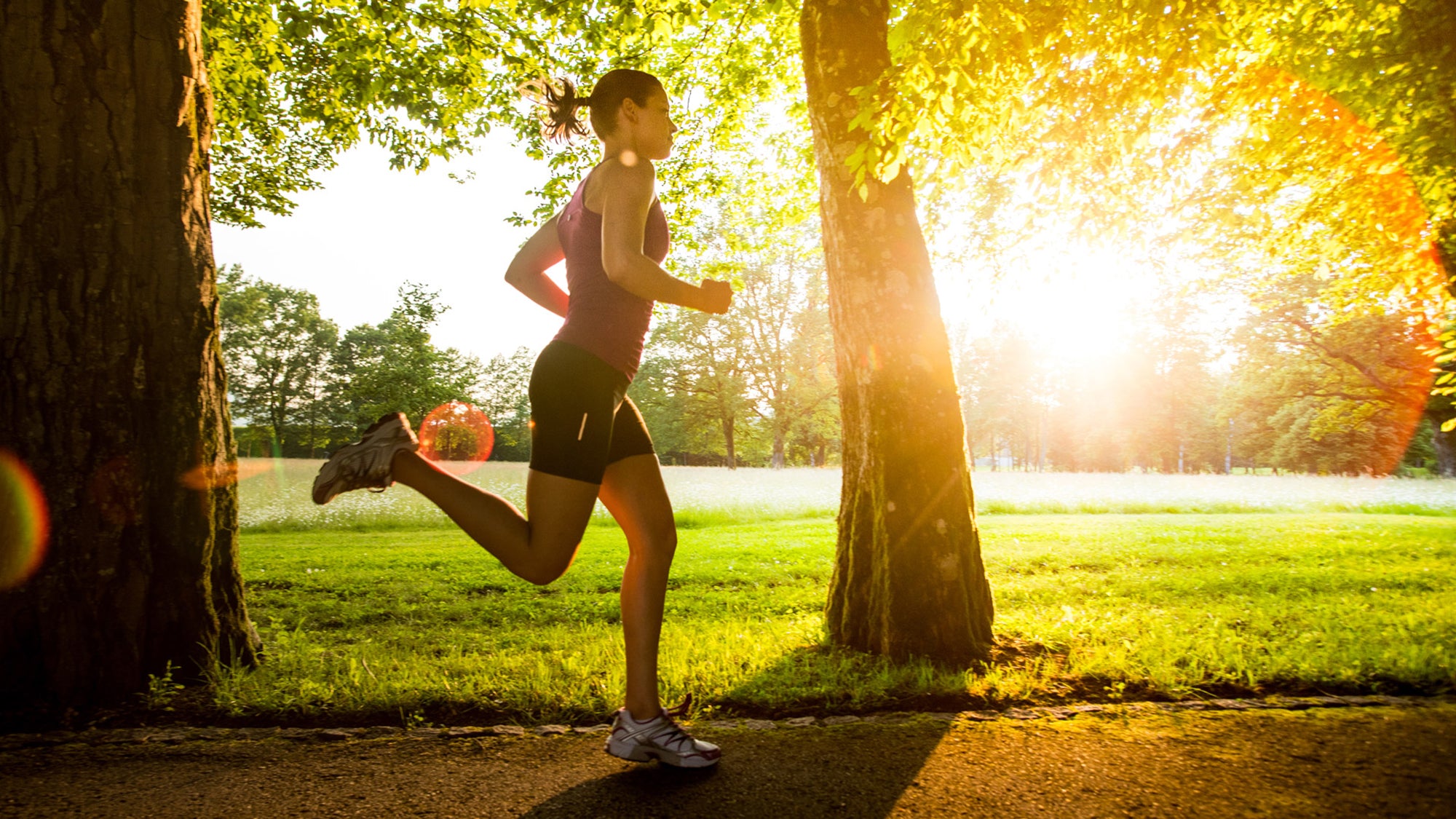 Stay Active Ways to Stay Active Orgain Stay Active Ways to Stay Active Orgain