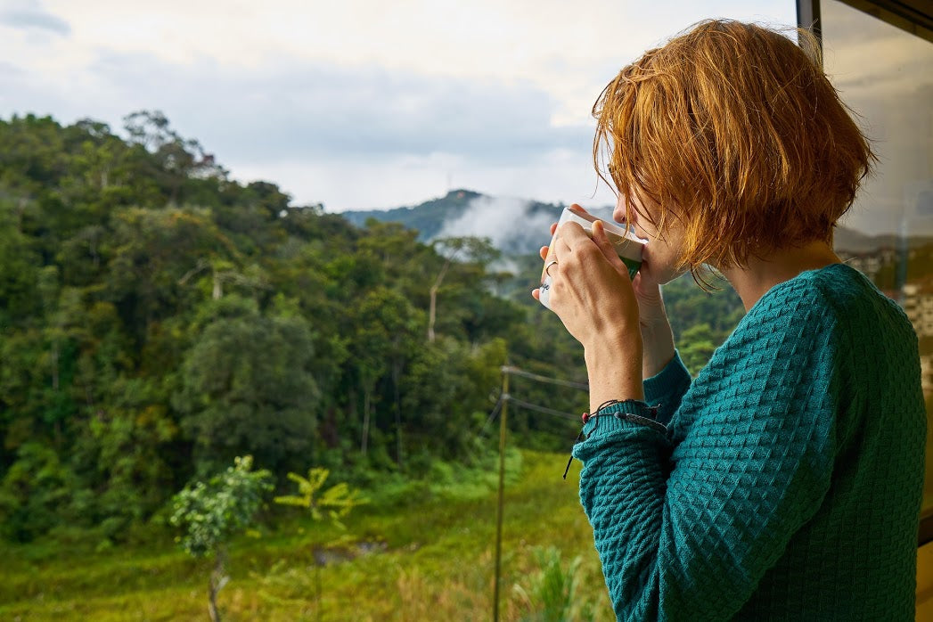 A person with short red hair stands by a window, sipping from a white cup. They are wearing a green sweater and looking out at a lush, green forested landscape under a cloudy sky. A mountain can be seen in the distance.