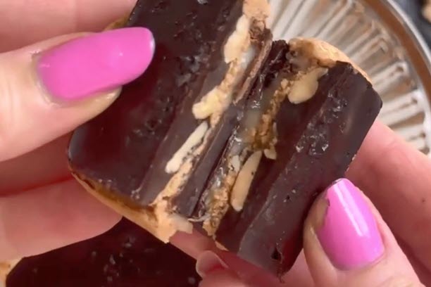 dark chocolate protein bites