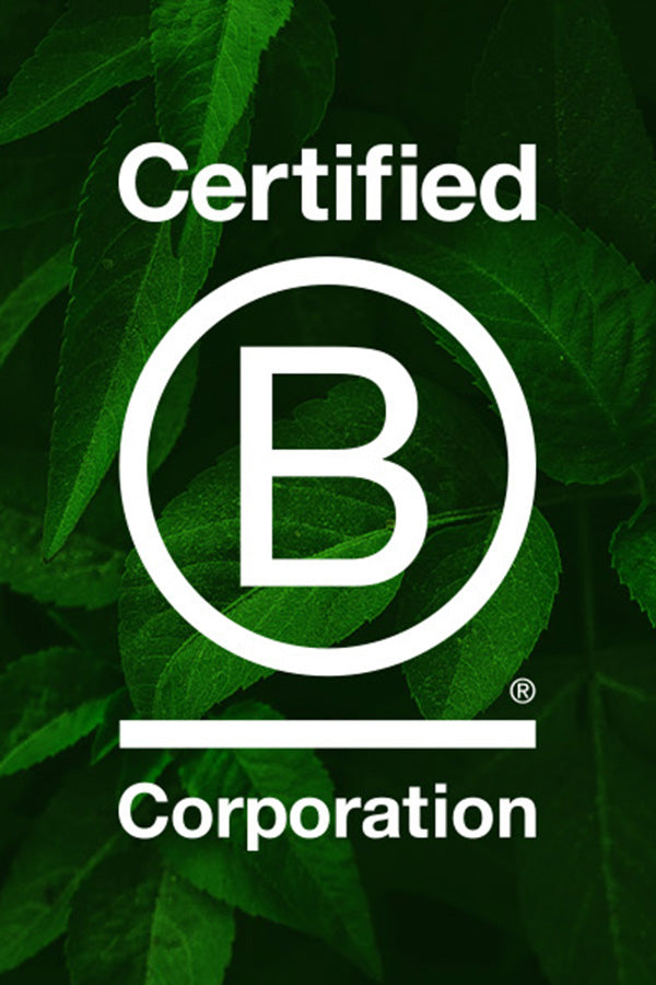 Certified B Corporation Logo in front of a leafy background